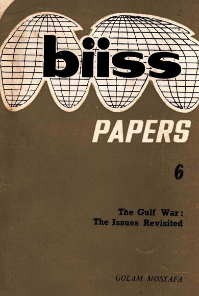 The Gulf War The Issues Revisited